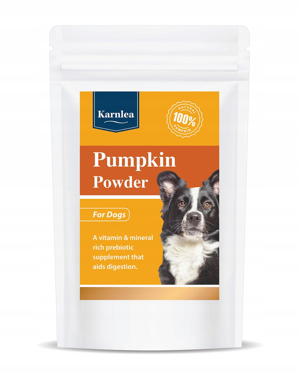 Dynia Pumpkin powder dla psa 100g prebiotyk błonnik trawienie zdrowe jelita