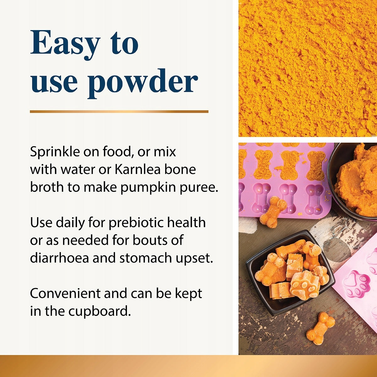 Dynia Pumpkin powder dla psa 100g prebiotyk błonnik trawienie zdrowe jelita