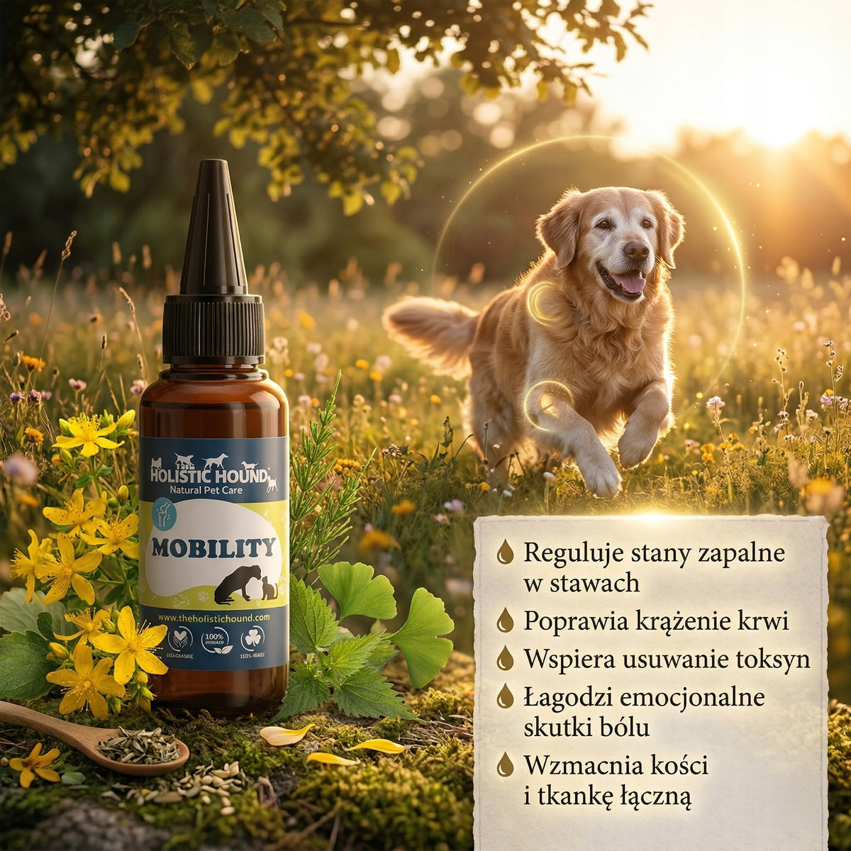 Ziołowy Suplement Na Stawy Psa | Mobilność i Komfort Ruchu | Naturalny