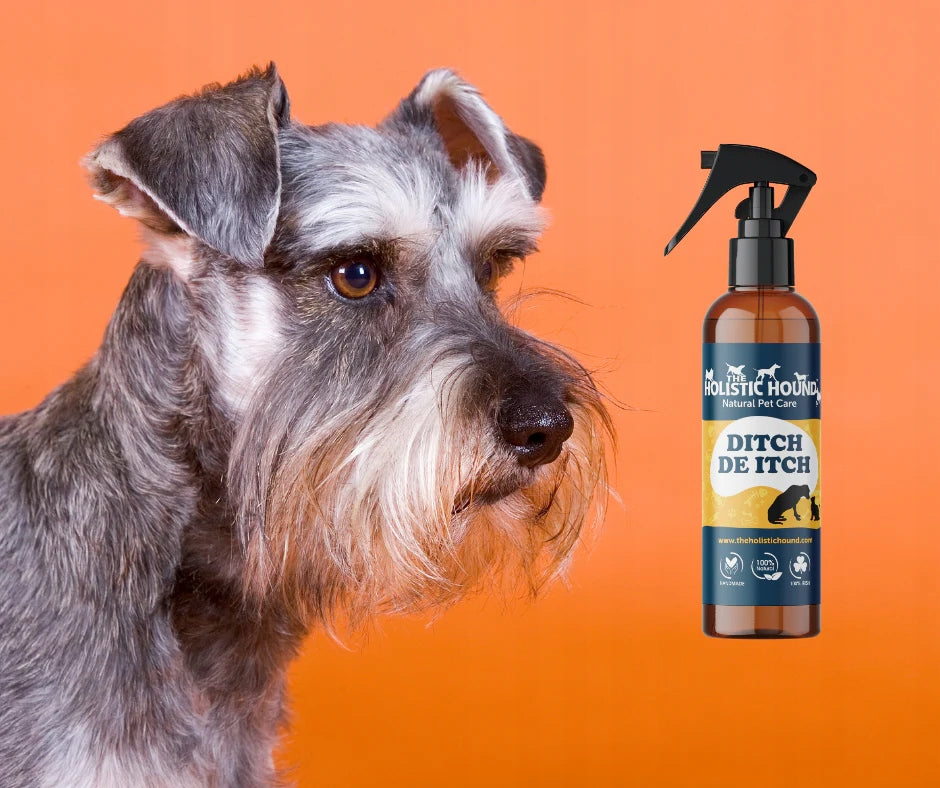 Spray Na Swędzącą Skórę Dla Psa i Kota | Na Suchą Skórę | 100ml