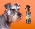 Spray Na Swędzącą Skórę Dla Psa i Kota | Na Suchą Skórę | 100ml