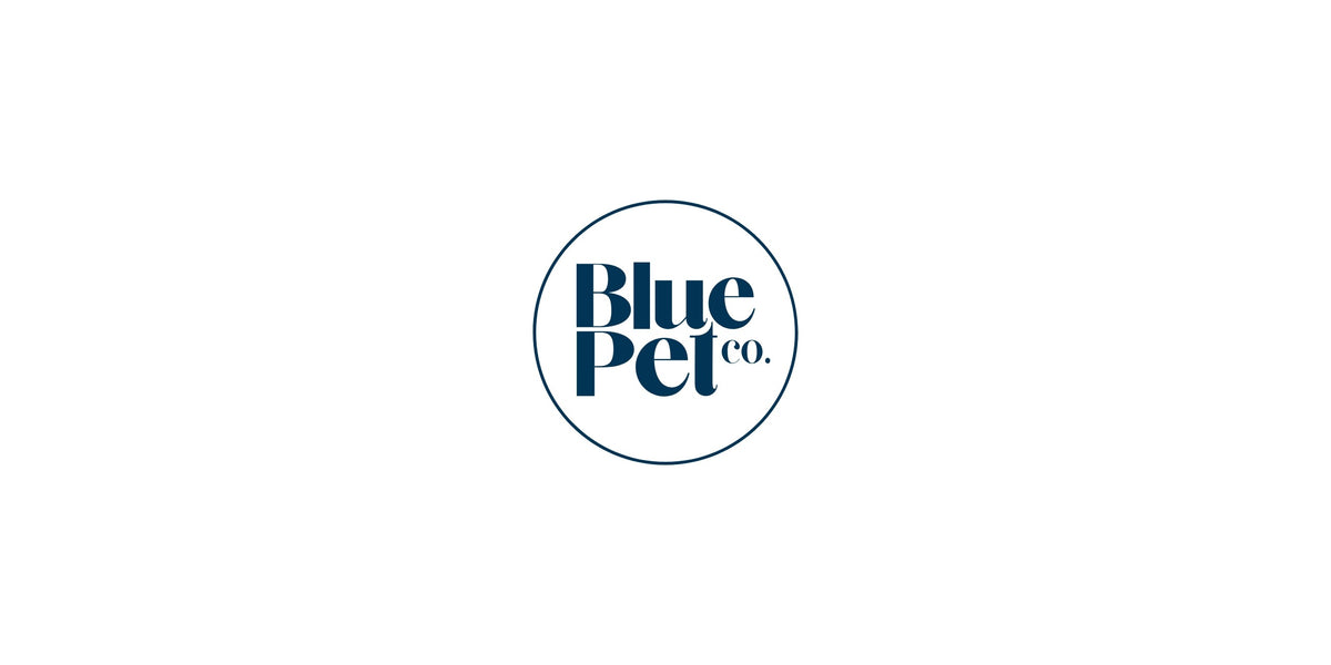 Suplementy na Sierść i Skórę dla Psa Biotyna proszek BluePet 180 g