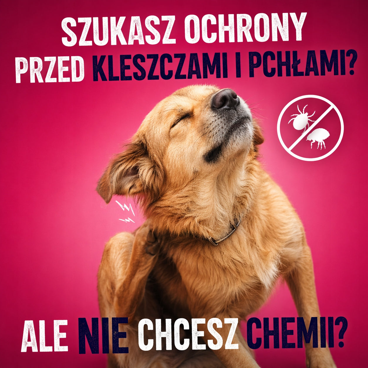 Holistic | Naturalne Krople na Kleszcze Pchły | Bez Chemii dla Psa Kota BIO