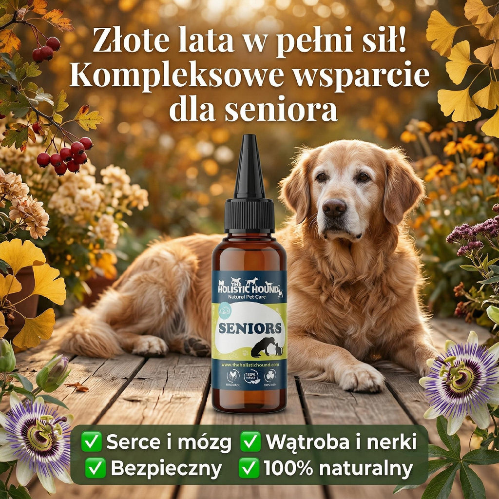 Ziołowy Suplement Dla Starszego Psa | Witalność Serce Mózg | Naturalny