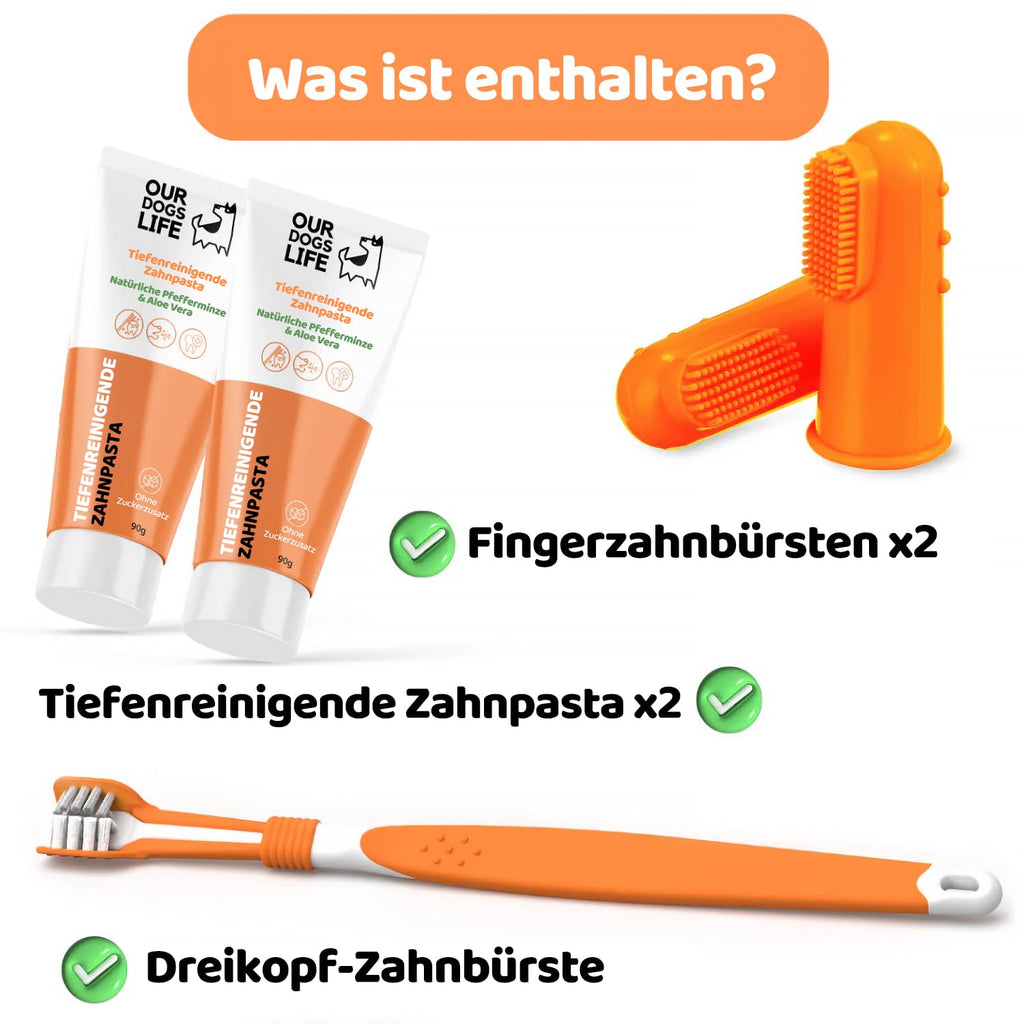 Zestaw 3w1 szczoteczka do Zębów Psa Kota NATURALNA Pasta 90g x2 +nakładka